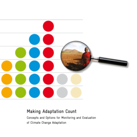 Making Adaptation Count - Concepts and Options for Monitoring and Evaluation of Climate Change Adaptation