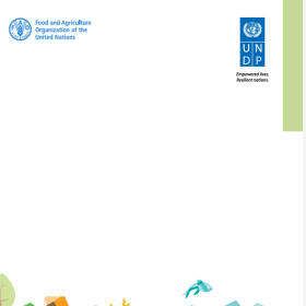 Guidance Note: Strengthening M&E for adaptation planning in the agriculture sector