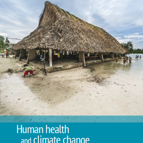 Human health and climate change in Pacific island countries